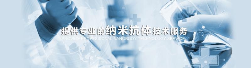 纳米抗体服务.jpg